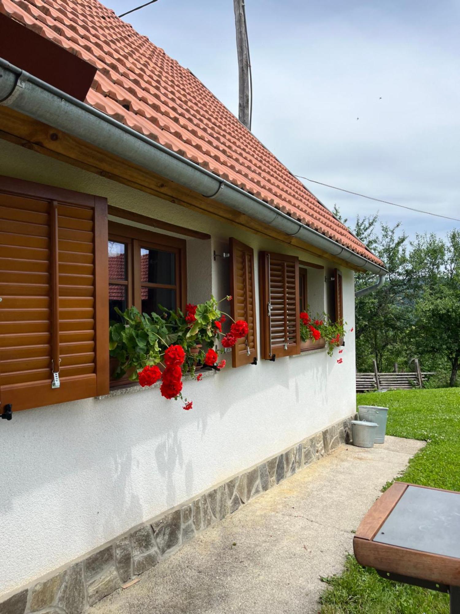 Domacija Brdar Vila Adlesici Exterior foto